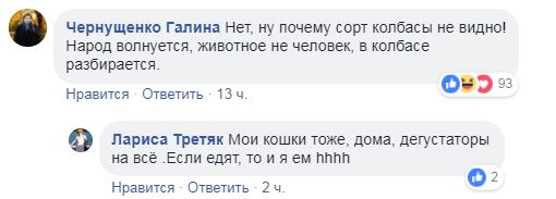 "Я коту доверяю": на витрине киевского магазина заметили пушистого дегустатора (видео)