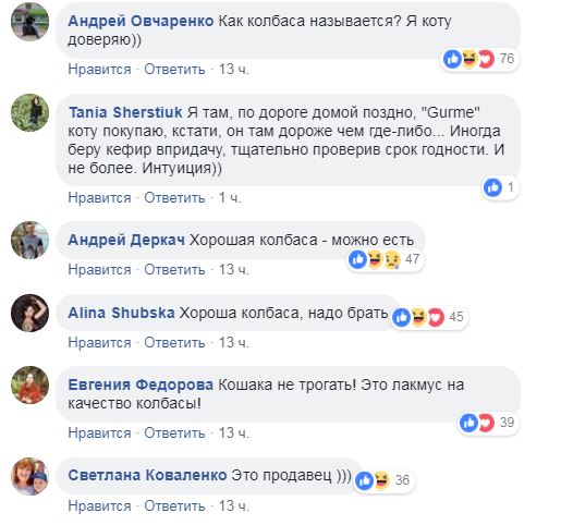"Я коту доверяю": на витрине киевского магазина заметили пушистого дегустатора (видео)