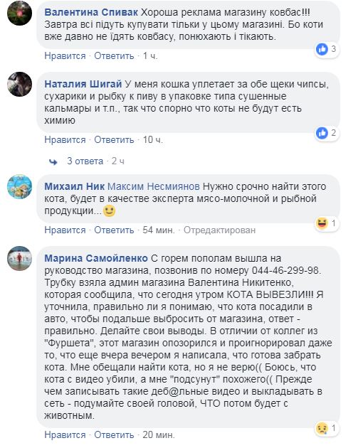 "Я коту доверяю": на витрине киевского магазина заметили пушистого дегустатора (видео)