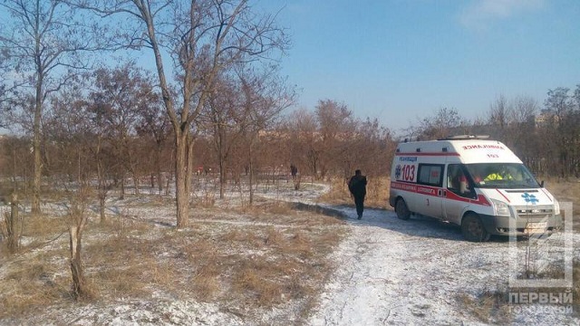 "Был присыпан листьями и землей": в Кривом Роге собака откопала тело ребенка