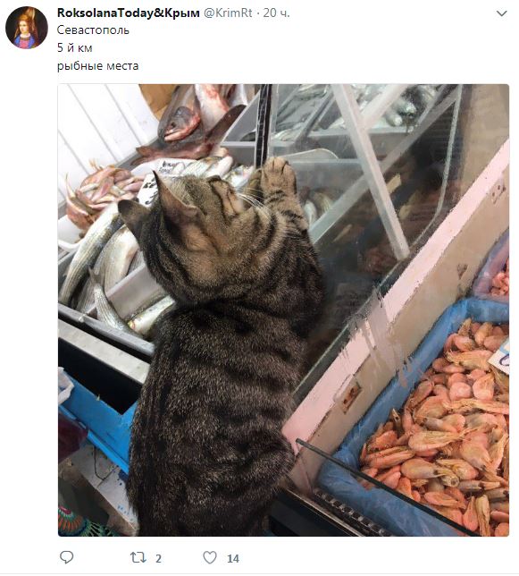 С "изюминкой": в оккупированном Севастополе продают хлеб с сюрпризом (фото)