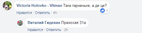 В Киеве появилась красная панда: художник к 8 марта украсил фасад столичного здания (фото)