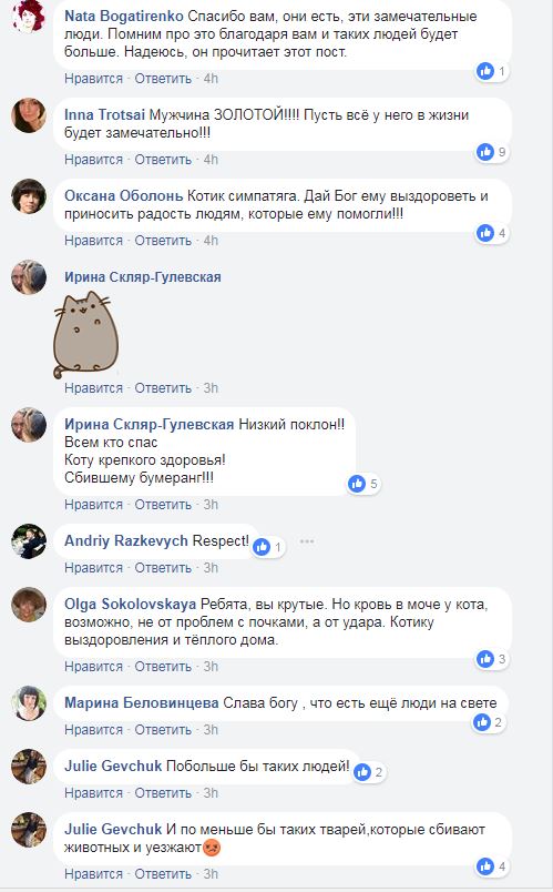 "Побольше бы таких людей!": в Киеве мужчина спас кота, которого сбило авто (фото)