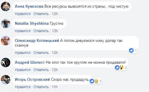 В сети показали, как из Украины вагонами вывозят в Европу лес (видео)
