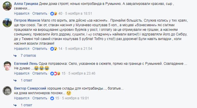 &quot;Продавали насіння&quot;: в мережі показали українське село з найбільш величезними будинками в країні