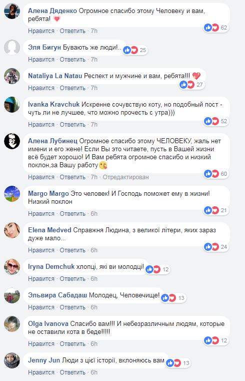 "Побольше бы таких людей!": в Киеве мужчина спас кота, которого сбило авто (фото)