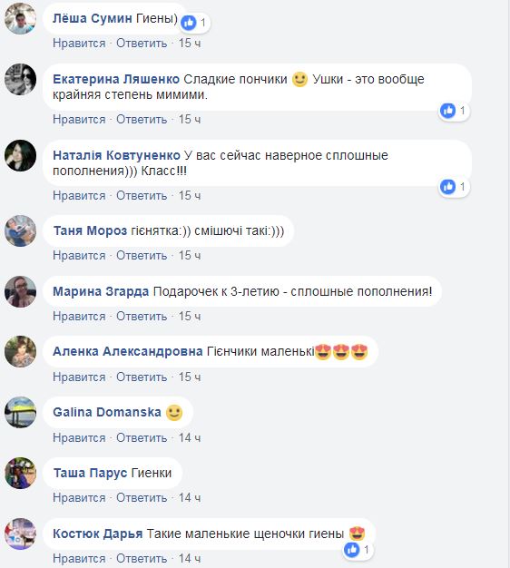 Кто это родился? В зоопарке под Киевом пополнение (фото)