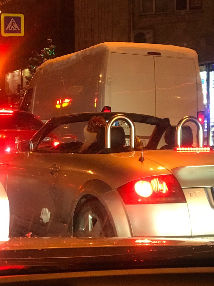 &quot;На лапландских номерах&quot;: Дед Мороз на Audi TT повеселил украинцев