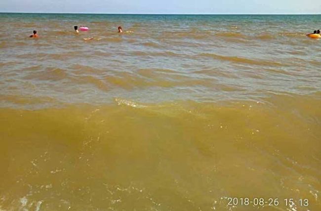Возле берегов Одесской области вода в Черном море резко изменила цвет (фото)