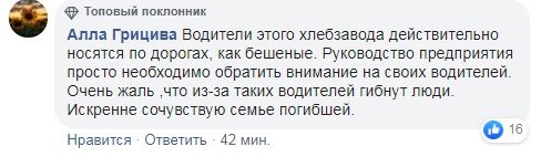 Раздавил женщину: в Киеве фургон хлебозавода смял стоявшее авто (фото, видео)
