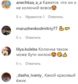 Відомий футболіст завів дивного вихованця (відео)