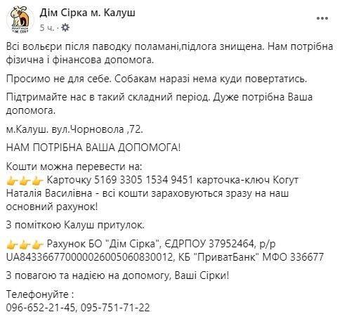 Под Ивано-Франковском затопило собачий приют: зоозащитники просят о помощи