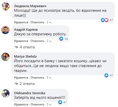 Під Львовом молодик запхав кошеня в банку: відео дуже розгнівало мережу