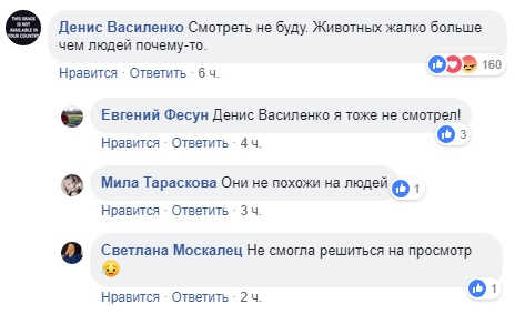"Шок і біль": у Львові підлітки викинули кота з багатоповерхівки і зняли це на відео