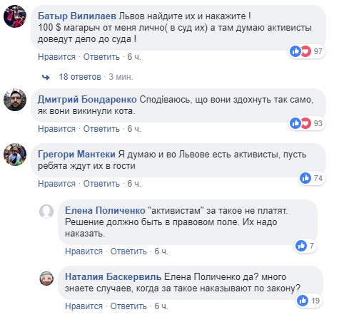 "Шок і біль": у Львові підлітки викинули кота з багатоповерхівки і зняли це на відео