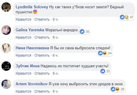 "Шок і біль": у Львові підлітки викинули кота з багатоповерхівки і зняли це на відео