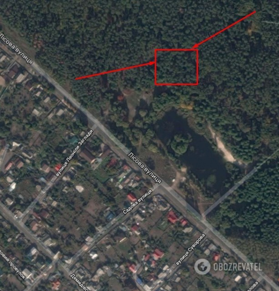 Найдено несколько женских тел: жители Киева предполагают, что в городе орудует маньяк