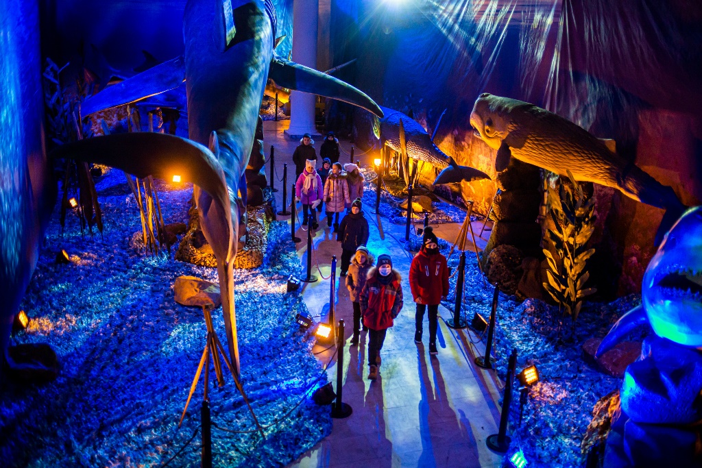 "Зимова країна на ВДНГ": гид по праздничным развлечениям и локациям