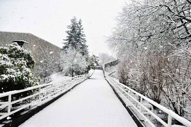 Синоптики дали прогноз погоды на последние дни декабря