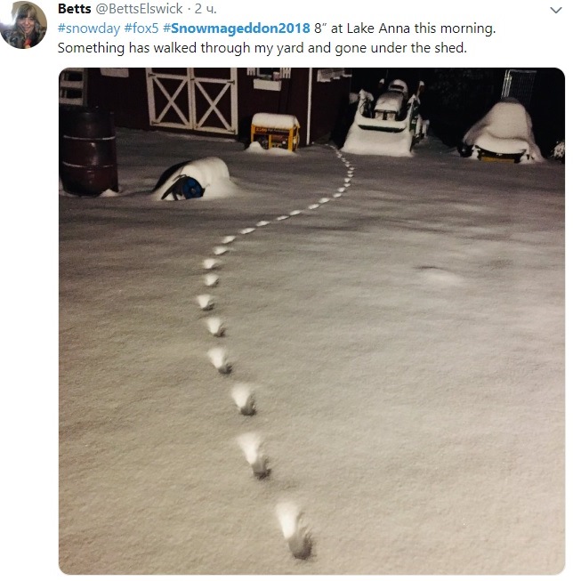 США накрыла мощная снежная буря: впечатляющие фото непогоды