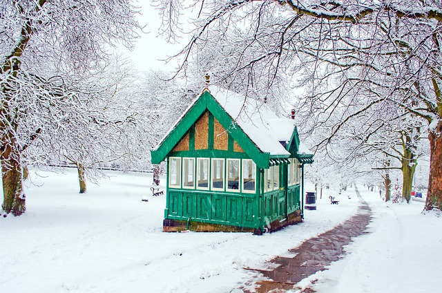 &quot;На Трифона і птах у лісі замерзає&quot;: якою буде погода 28 грудня