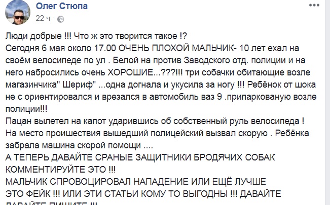 У Миколаєві на хлопчика на велосипеді напали агресивні собаки: дитина врізалася в автомобіль