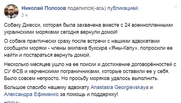 "Пушистого" друга украинских моряков вырвали из российского плена (фото)