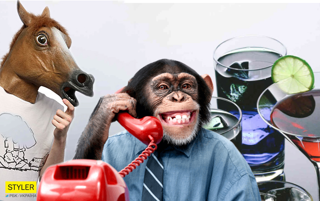 Власник єнотів-"алкоголіків" з Чернівців тонко потролив журналістів