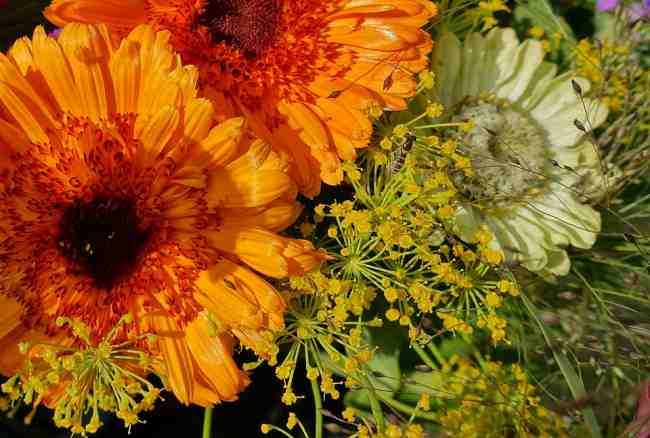 Тепло, але дощитиме: синоптики дали невтішний прогноз на п'ятницю