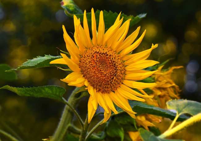 Синоптики уточнили прогноз на 19 июля