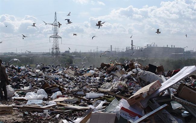 Новые тарифы на вывоз мусора: украинцам рассказали о нюансах