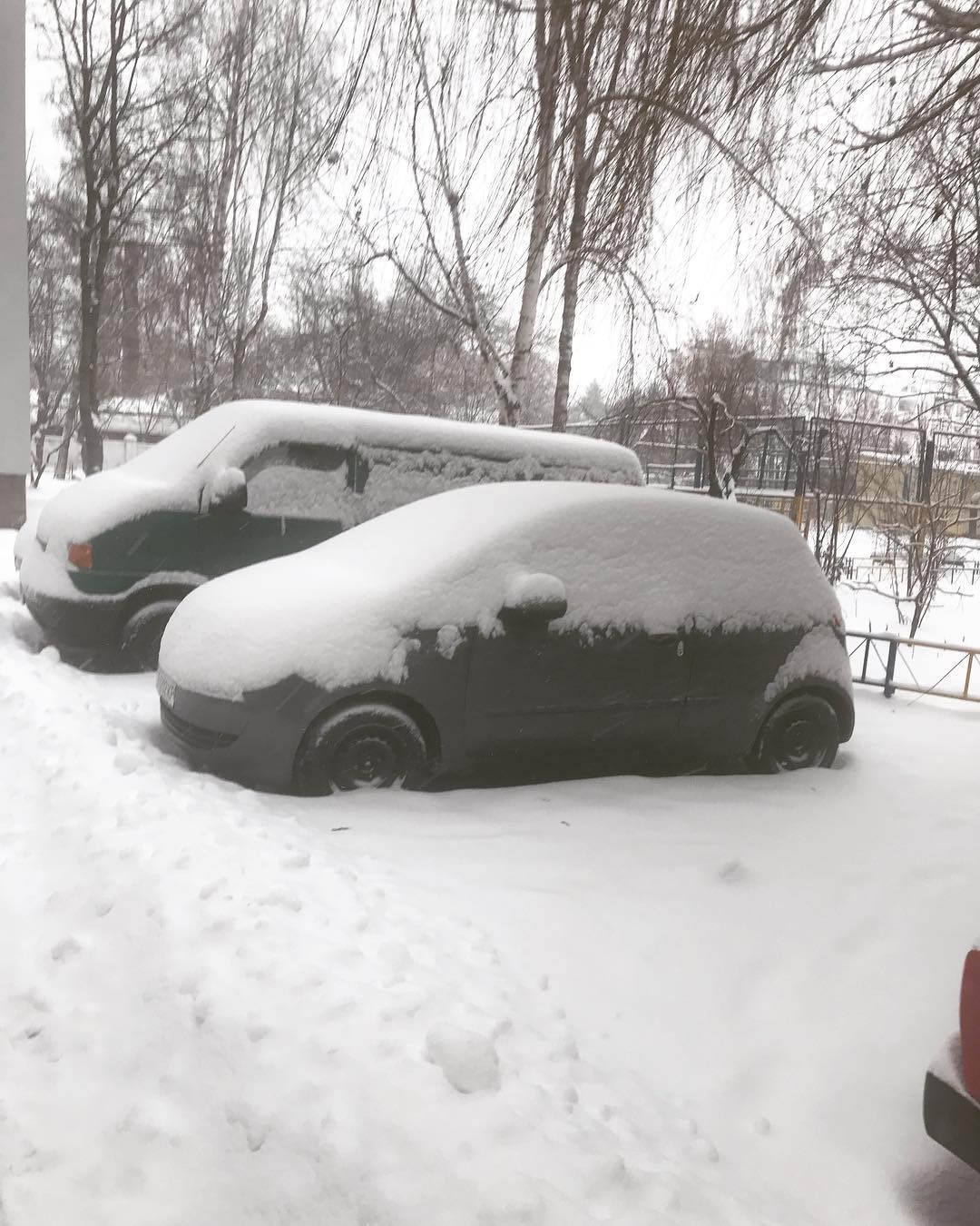Украина ушла под снег: в сети делятся фото и видео