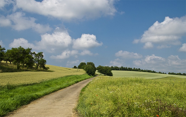 Йде потепління: українцям розповіли про погоду на тиждень