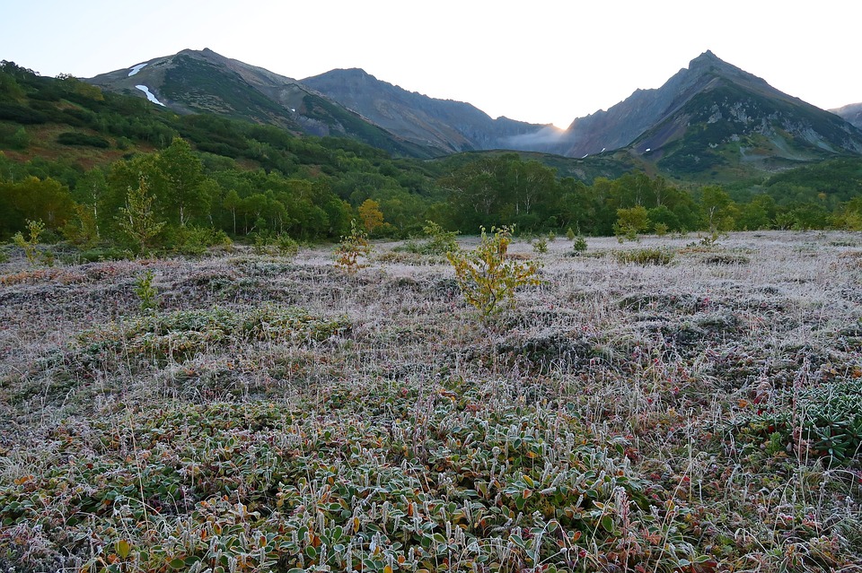 В Украину идут заморозки: синоптик предупредила об арктическом циклоне