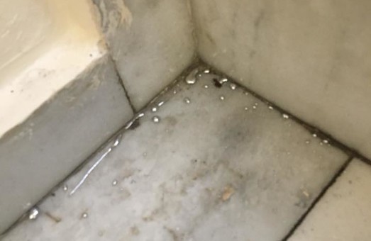 В Одеському медуніверситеті спробували влаштувати диверсію під час візиту прем'єр-міністра