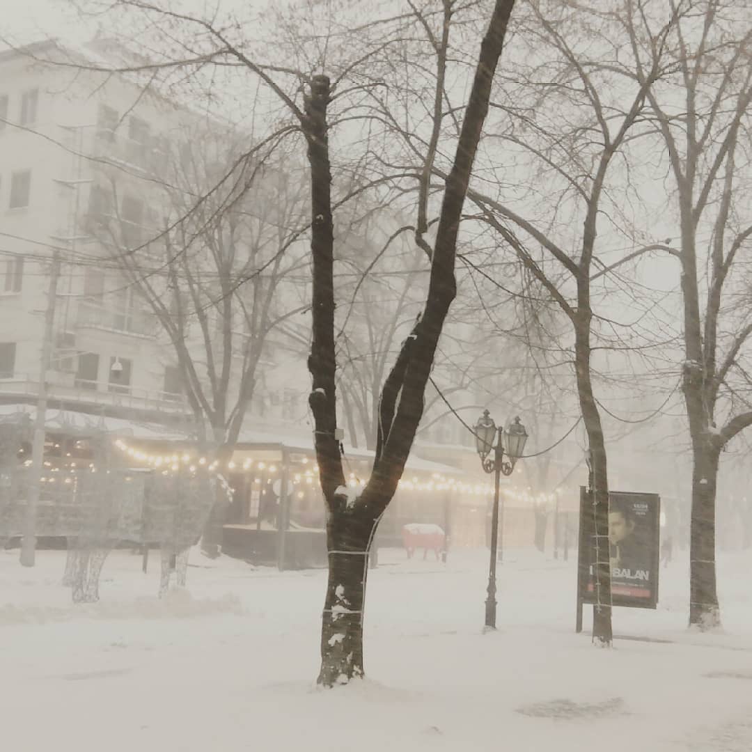 Снегопады в Украине: непогода накрыла города (фото, видео)