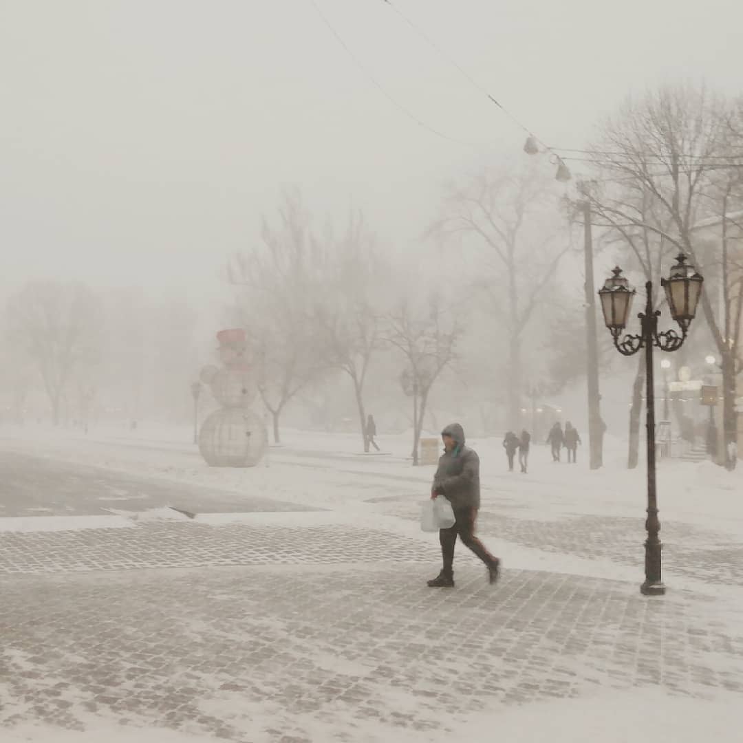 Снегопады в Украине: непогода накрыла города (фото, видео)