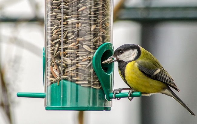 Пасмурно, тепло и влажно: в Украине начнется рекордное потепление