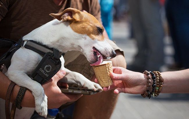 На один місяць літа менше: українців чекають кардинальні зміни клімату