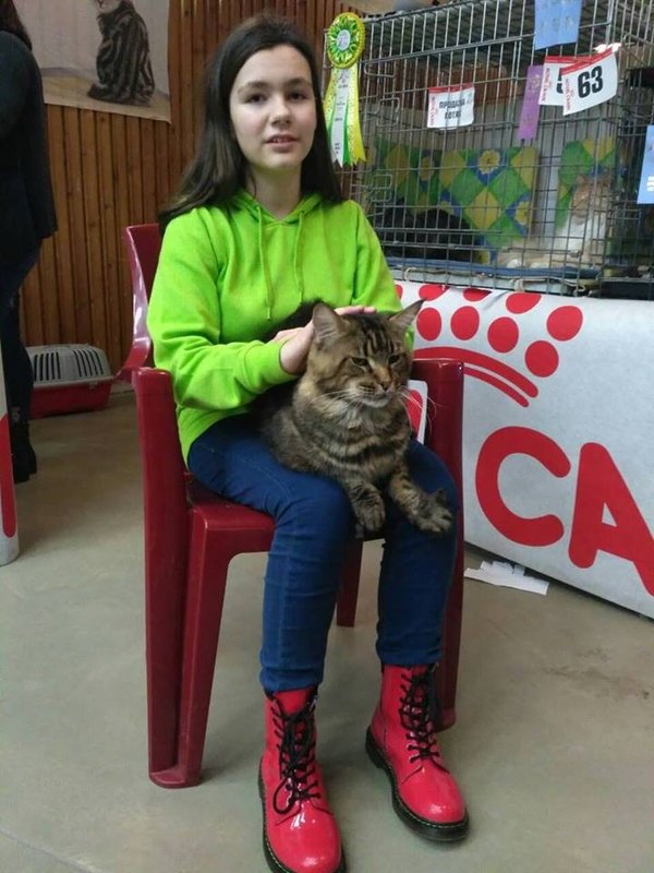 Исчезновение школьниц в Киеве: девочки договорились о побеге