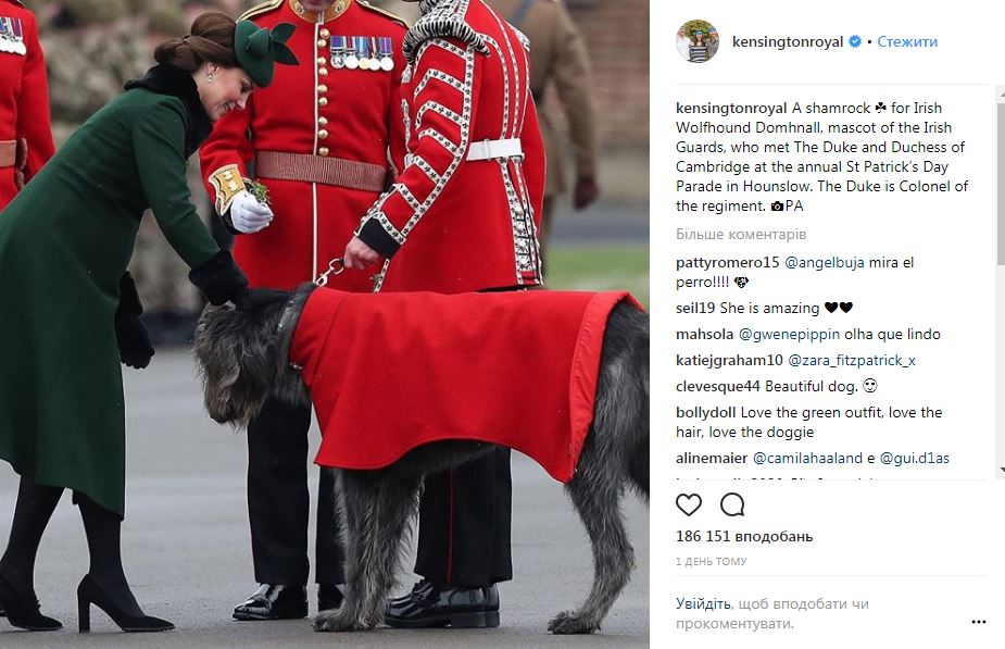 Беременная Кейт Миддлтон снова вышла в свет (фото)