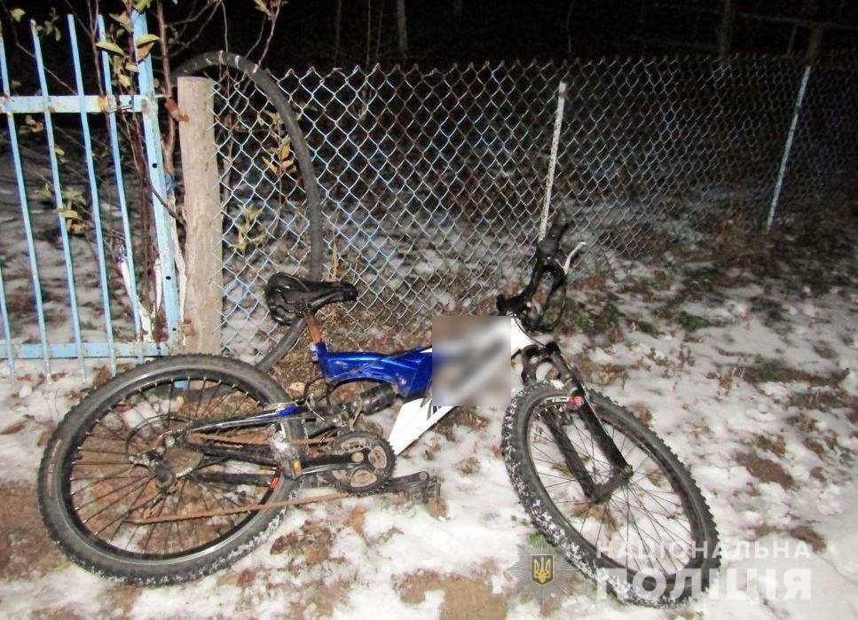 П'яний грабіжник жорстоко побив пенсіонерку через велосипед: подібності інциденту