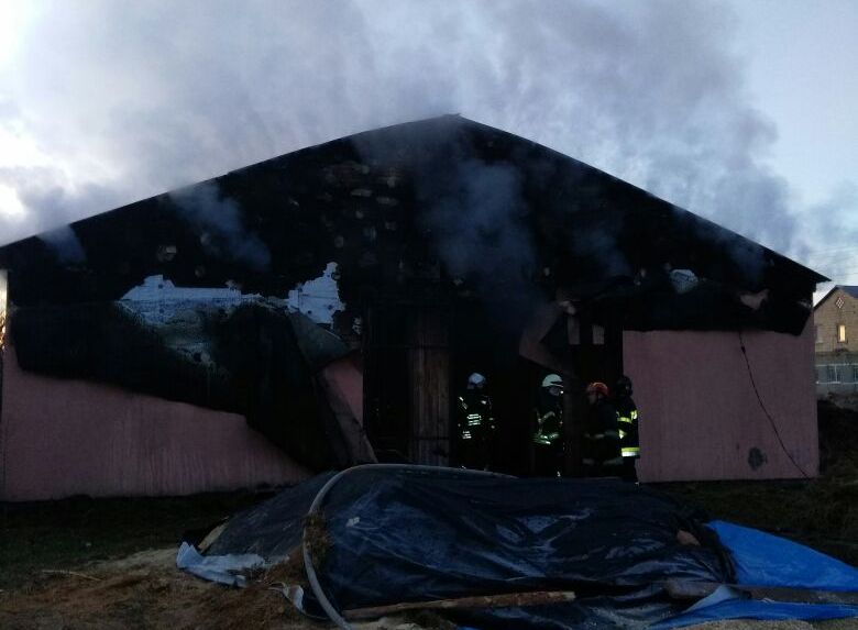 Під Києвом загинули коні в результаті пожежі в стайні