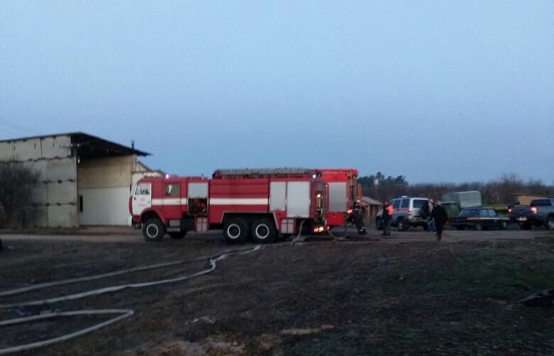Під Києвом загинули коні в результаті пожежі в стайні