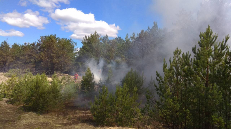 Пожар в Чернобыльской зоне: появились свежие фото и видео