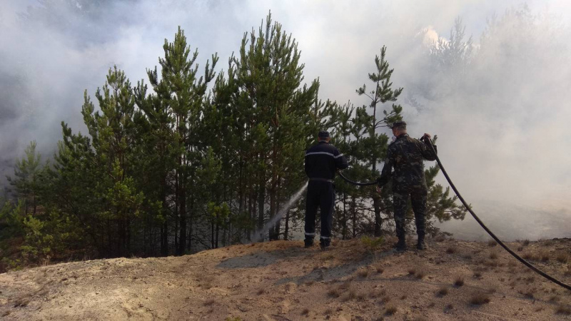 Пожар в Чернобыльской зоне: появились свежие фото и видео