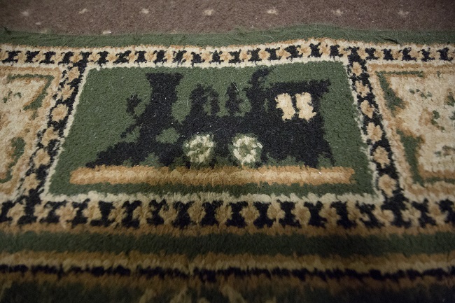 Интерьер нового люкс-вагона и купе от Укрзализныци