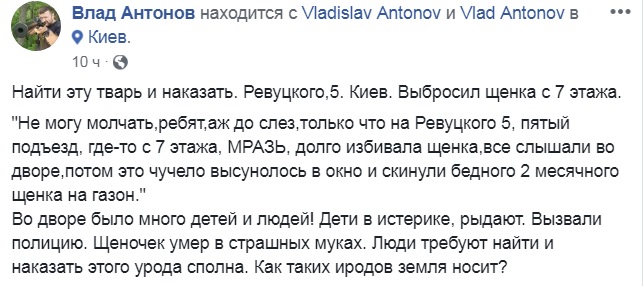 "Найти и наказать": в Киеве мужчина выбросил из окна щенка
