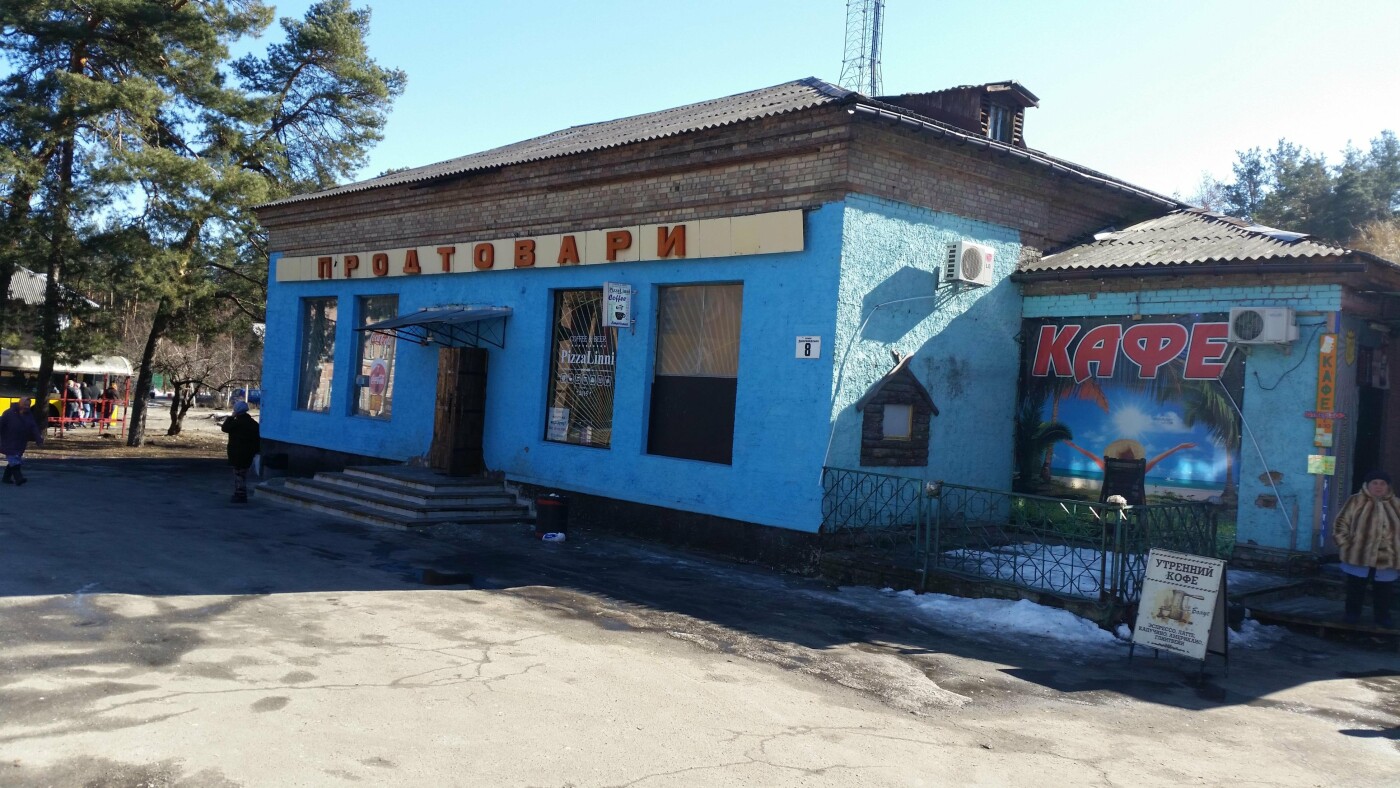 Секретный поселок под Киевом: для кого он построен и как выглядит (фото)