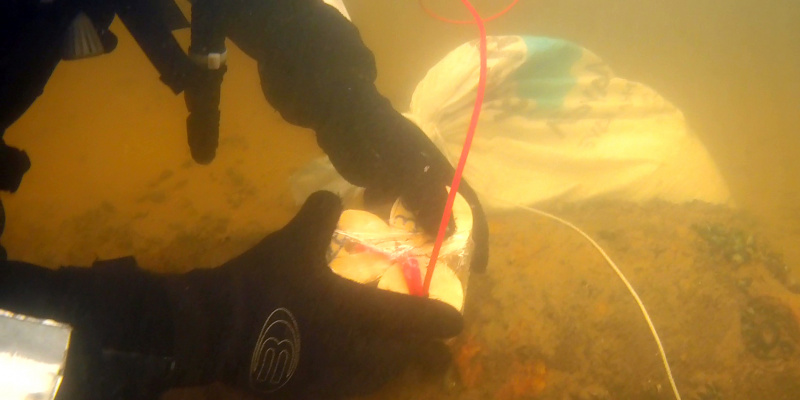 Появилось впечатляющее видео взрывов в Киевском море